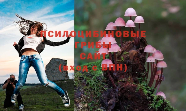 мяу мяу кристалл Михайлов