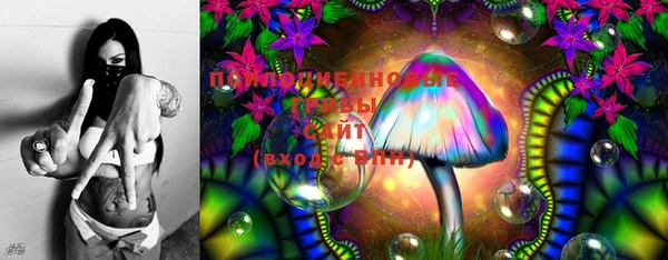 мяу мяу мука Михайловск