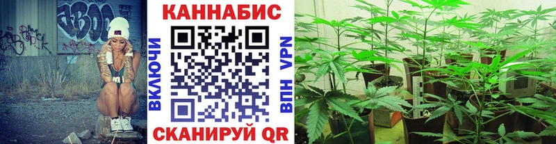 Купить где  Навашино  Бошки Шишки ГИДРОПОН 